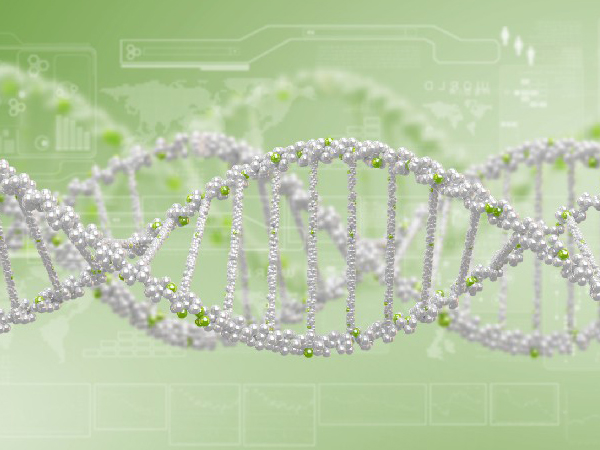 蛋白表征服务有哪些？